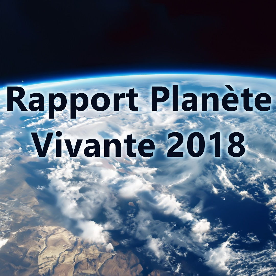Lire la suite à propos de l’article Rapport planète vivante : face à l’urgence absolue Haren Observatory appelle à la désobéissance civile