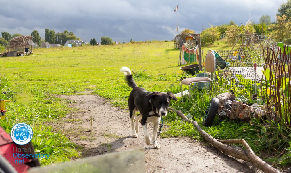 La ZAD du Keelbeek à Haren