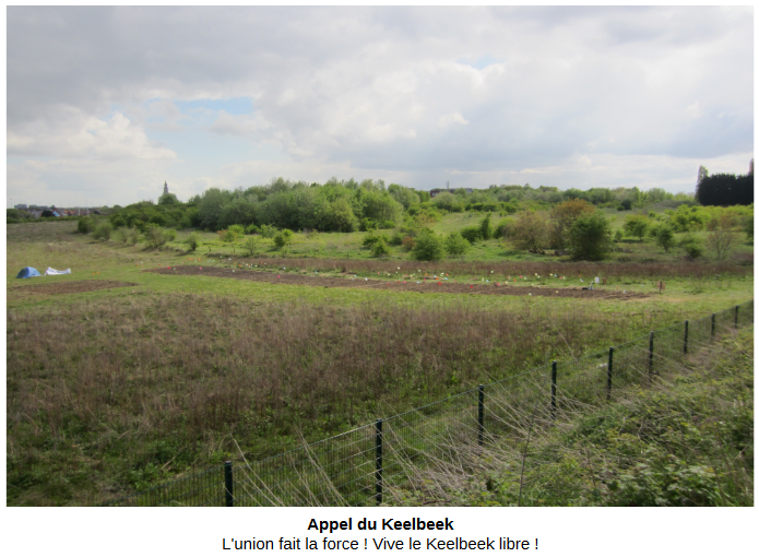 You are currently viewing « L&rsquo;Appel du Keelbeek » a 7 ans, et toutes ses dents!