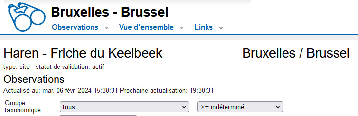 Haren - Friche du Keelbeek - bru.observations.be